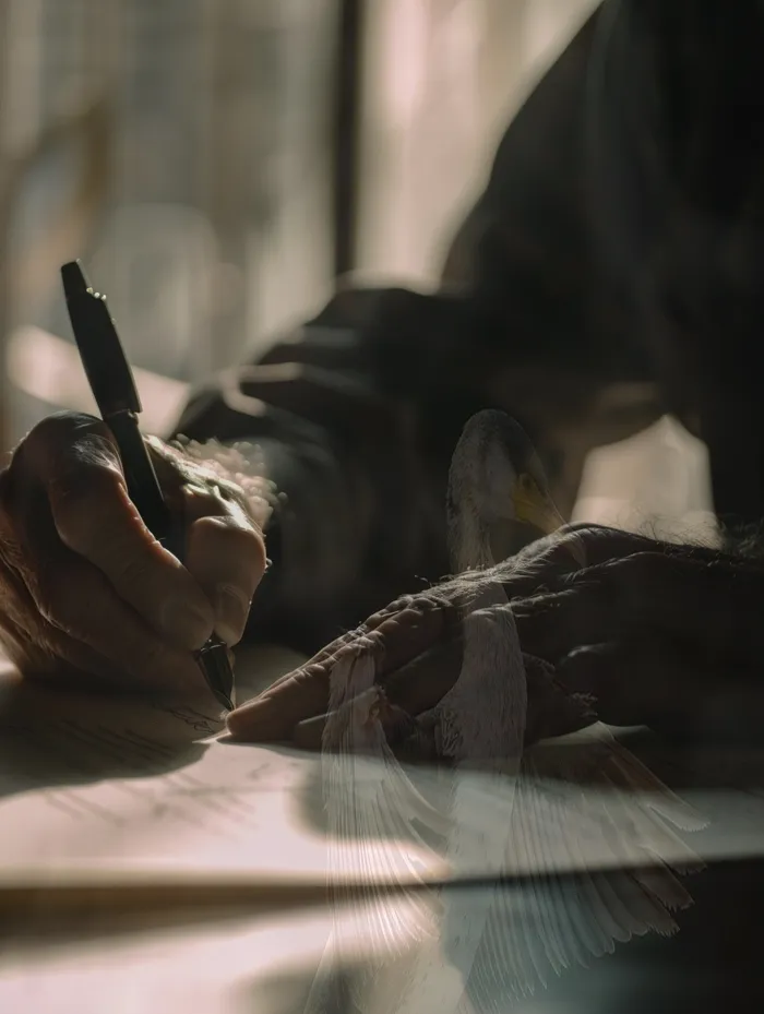 개인회생 신청 절차