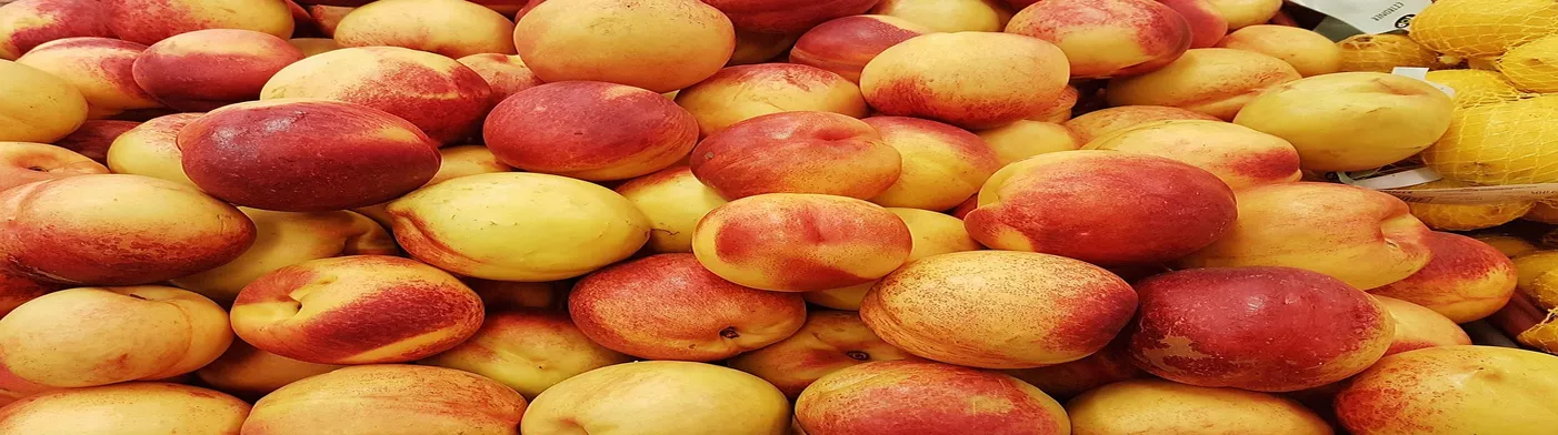 법무법인 서앤율